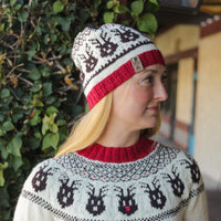 Reindeer Sweater, a Christmas colorwork yoke sweater knitting pattern in Ewe So Sporty