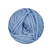 Baa Baa Bulky Merino Yarn