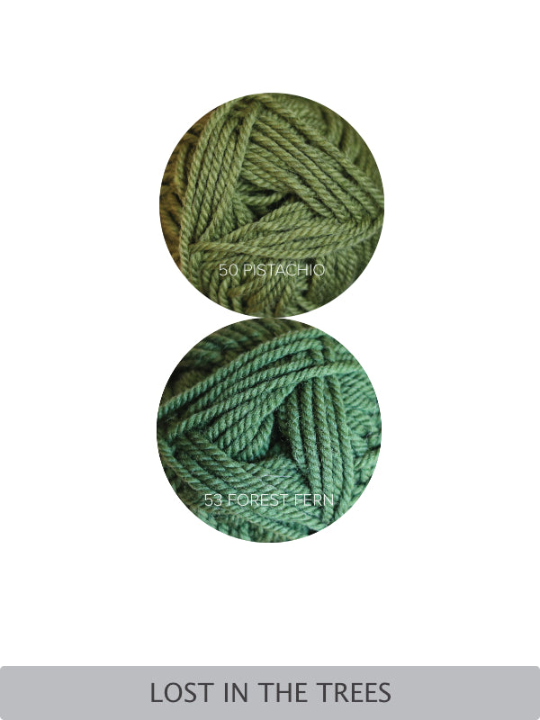 Shameless Selfie Set Yarn Kit