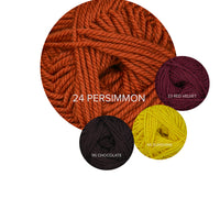 Bubbly Shawl Knitting Kit – Sport Weight Shawl Yarn Kit